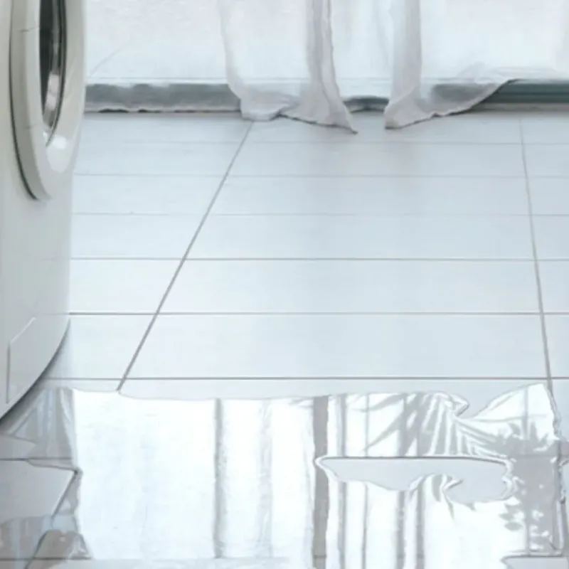 Appliance Leak Cleanup in Bear, DE